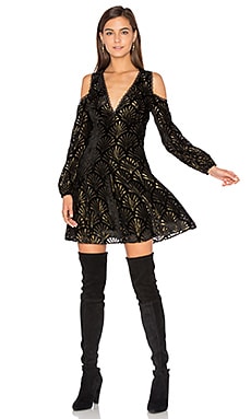 Alice + Olivia