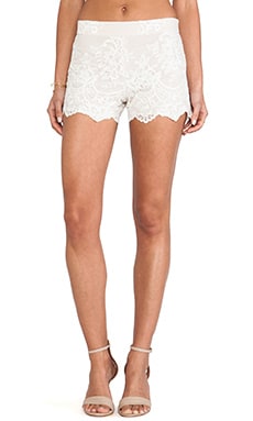 Alice + Olivia
