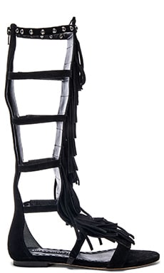 Alice + Olivia