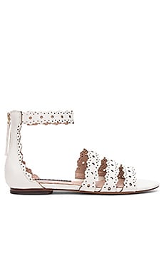 Alice + Olivia