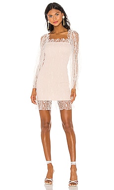 for love and lemons after dark mini dress