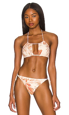 Product image of AMUSE SOCIETY Piper Halter Bikini Top. Click to view full details