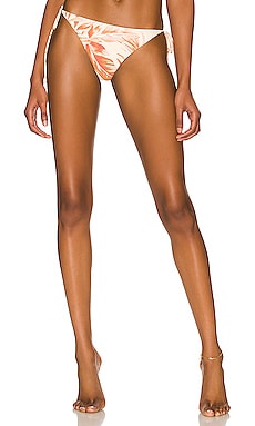 Product image of AMUSE SOCIETY Gemma Bikini Bottom. Click to view full details
