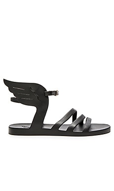 Ancient Greek Sandals Ikaria Jellie Sandal in Black | REVOLVE