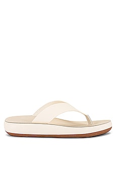 Ancient Greek Sandals Charys Sandal in Off White REVOLVE