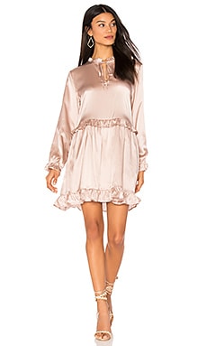 ANINE BING Frill Silk Dress in Rose REVOLVE