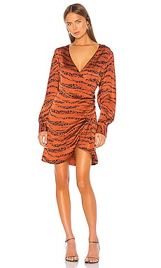 ANINE BING Penelope Dress in Zebra REVOLVE