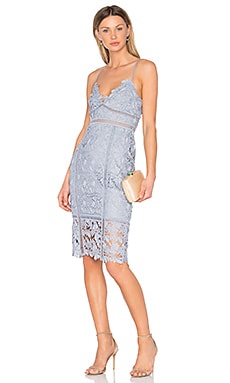 Botanica shop lace dress