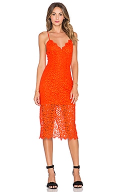 bardot sienna lace trumpet dress