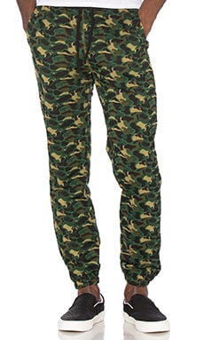 Billionaire Boys Club