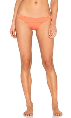 Beach Bunny