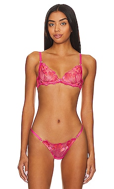 Bluebella Colette Lace Briefs in Pink