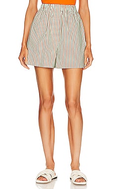 Product image of BLANCA Faye Shorts. Click to view full details