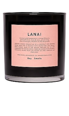 Lanai Scented Candle Boy Smells $36 