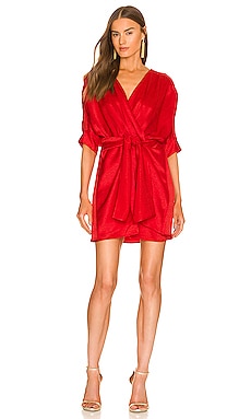 x REVOLVE Sami Mini Dress Callahan $168 