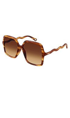 ZELIE サングラスChloe$340