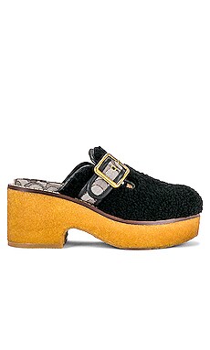 Dylan Clog Coach