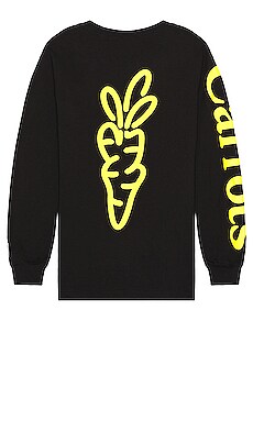 Carrots
