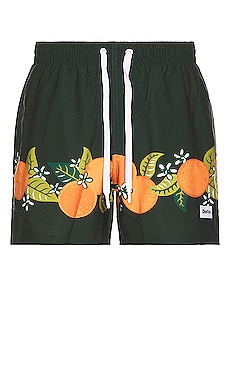 Tropical Orange Swim Short Duvin Design