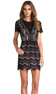 Dolce Vita Saurus Eyelash Lace Dress In Black 