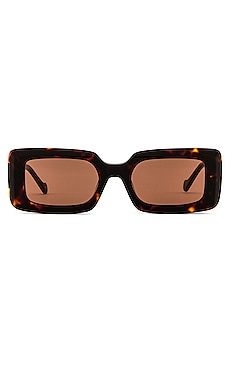 Havana Sunglasses DEVON WINDSOR $99 