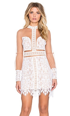 For Love & Lemons