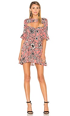 For Love & Lemons