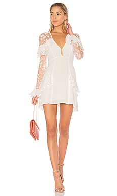 For Love & Lemons