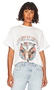 ANINE BING Tiger Tee in Stone REVOLVE