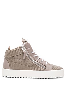 Giuseppe Zanotti