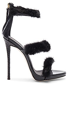 Giuseppe Zanotti