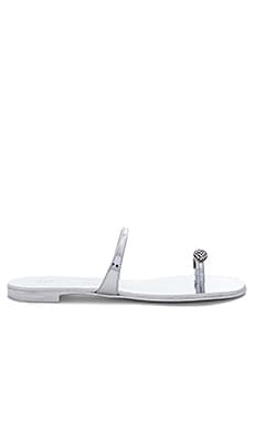 Giuseppe Zanotti