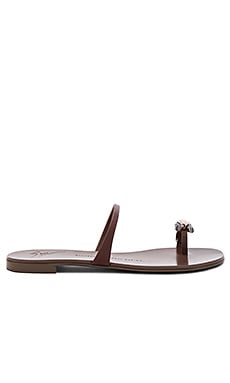 Giuseppe Zanotti
