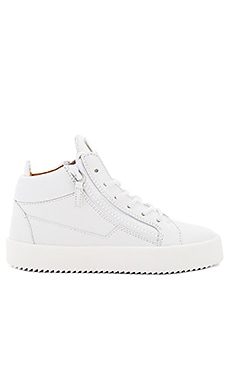 Giuseppe Zanotti