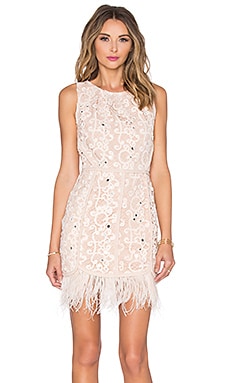 Greylin Miri Feather Dress in Blush
