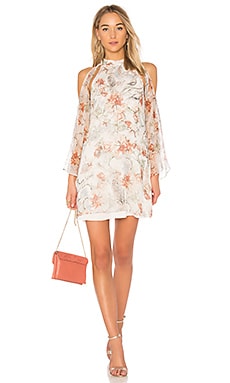Haute Hippie