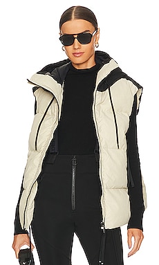 Product image of HOLDEN Hooded Down Vest. Click to view full details