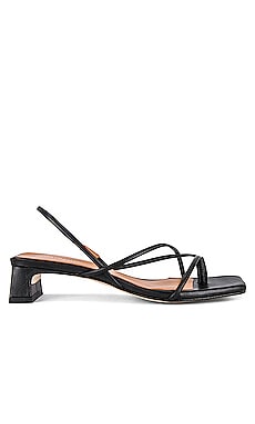 Product image of INTENTIONALLY BLANK Freya Sandal. Click to view full details