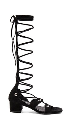 Jeffrey Campbell