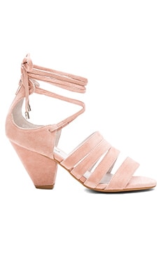 Jeffrey Campbell