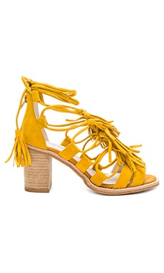 Jeffrey Campbell