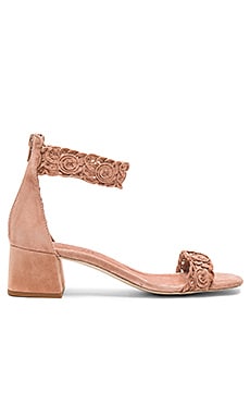 Jeffrey Campbell
