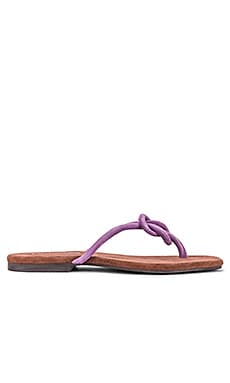 

Шлепанцы malio - Jeffrey Campbell, Фиолетовый, Вьетнамки