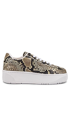 

Кроссовки court - Jeffrey Campbell, Коричневый, Короткие