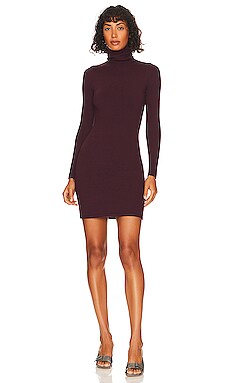 Mini Turtleneck Dress JoosTricot $495 NEW