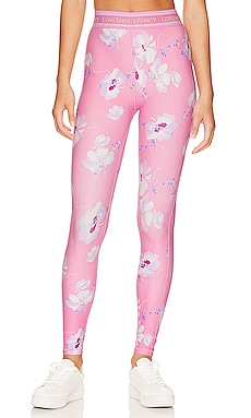Pink Daisies High Waisted Yoga Pants for Women Stretchy High Waisted  Leggings X-Small at  Women's Clothing store