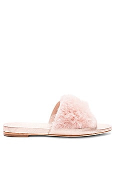 Loeffler Randall