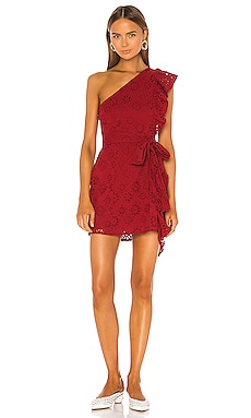 Lovers and Friends Seana Mini Dress in Deep Red | REVOLVE
