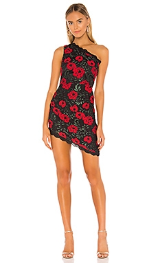 Lovers and Friends Arianna Mini Dress in Climbing Floral