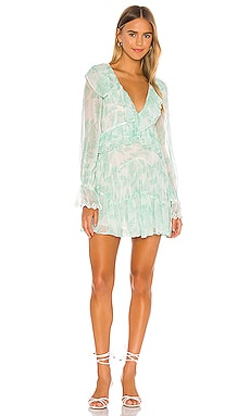 Kaitlin Mini Dress Lovers and Friends $184 